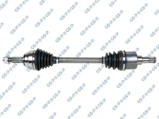 GSP 203810
