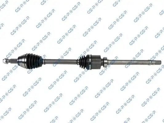 GSP 203831