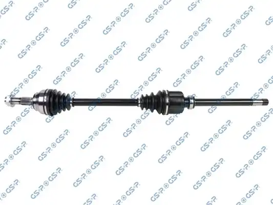 GSP 203906
