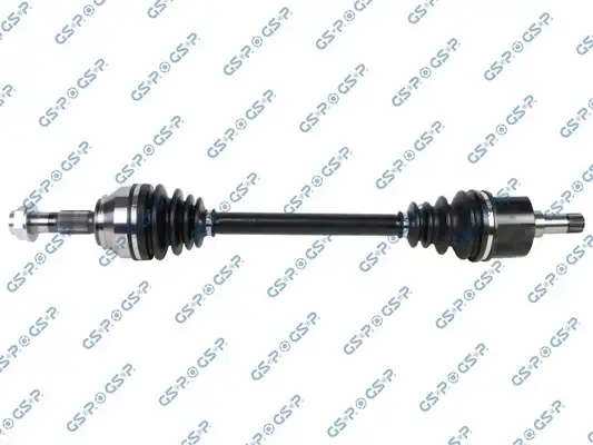 GSP 203907