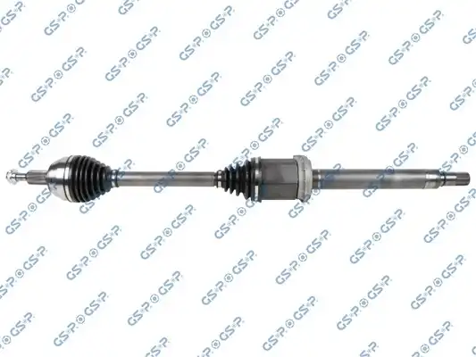 GSP 203935