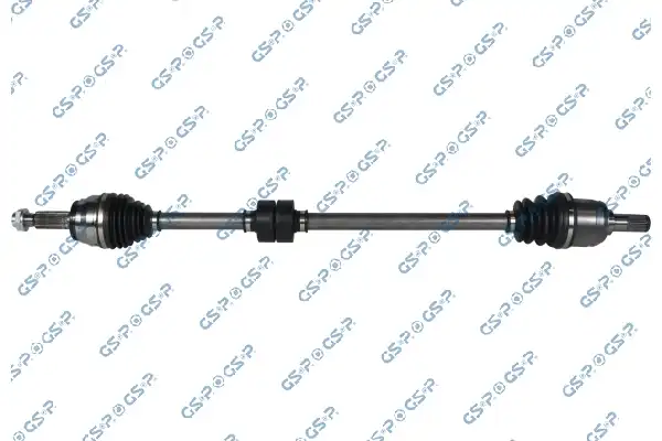 GSP 204371