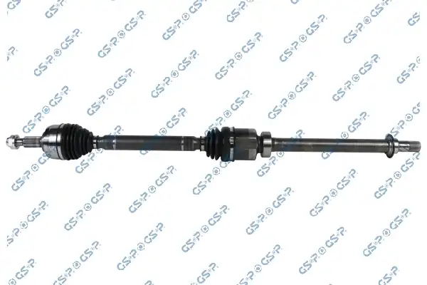 GSP 204609