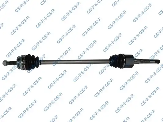 GSP 209005