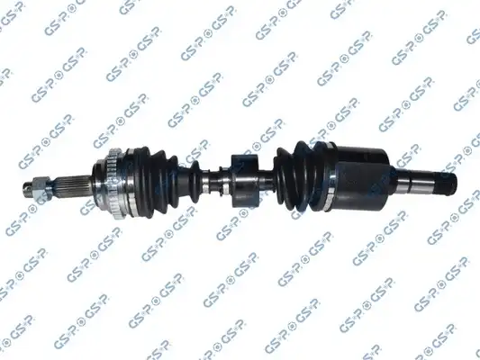 GSP 209074
