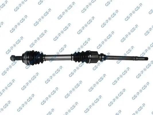 GSP 210019