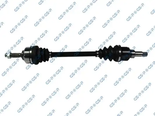 GSP 210125