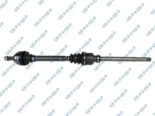 GSP 210251
