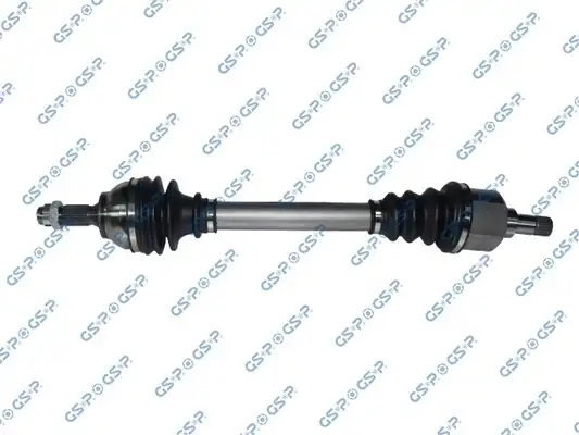 GSP 210253