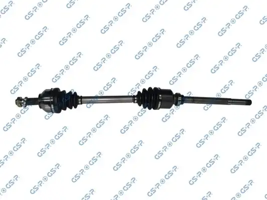 GSP 210265