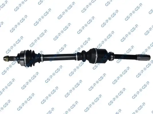 GSP 210291