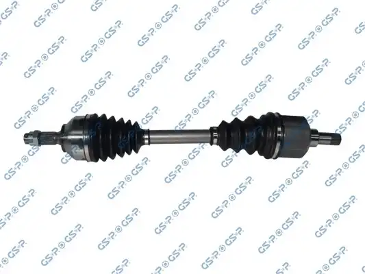 GSP 210293