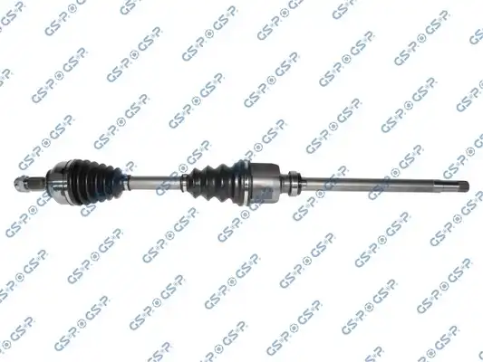 GSP 210295
