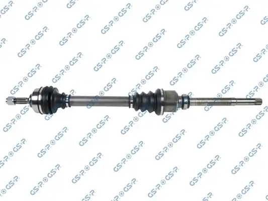 GSP 210301