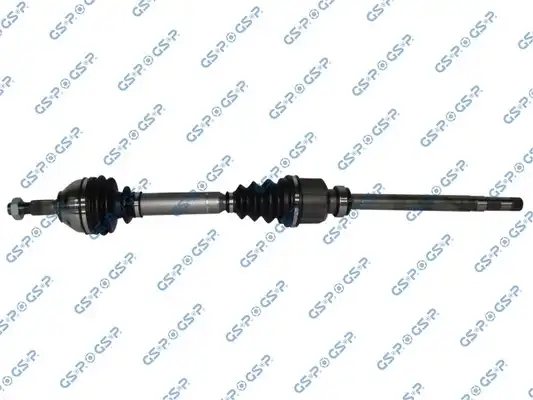 GSP 210302