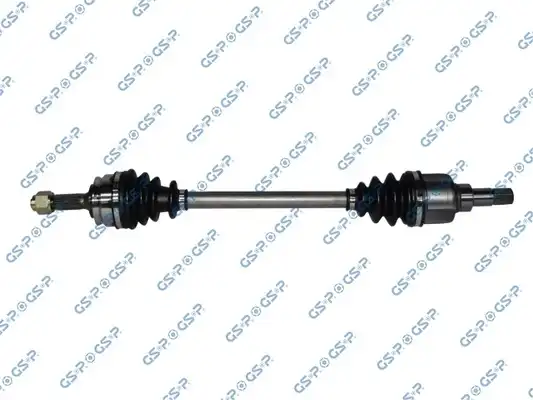 GSP 210306