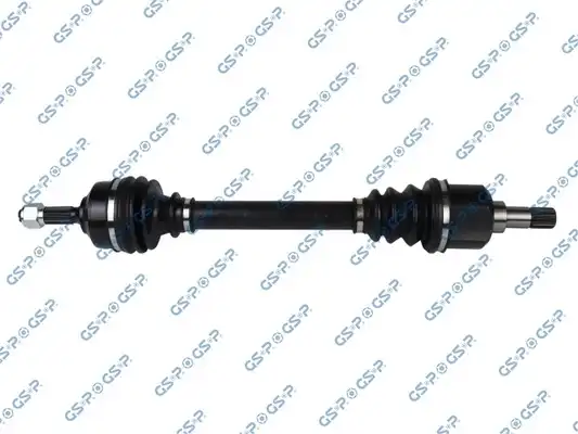 GSP 210309