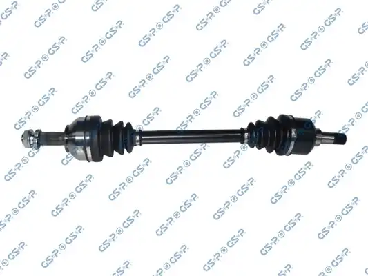 GSP 210310