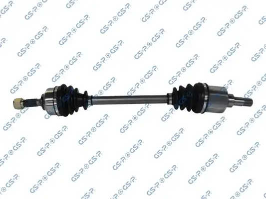 GSP 210311
