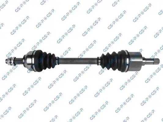GSP 210314