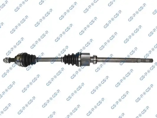GSP 210320