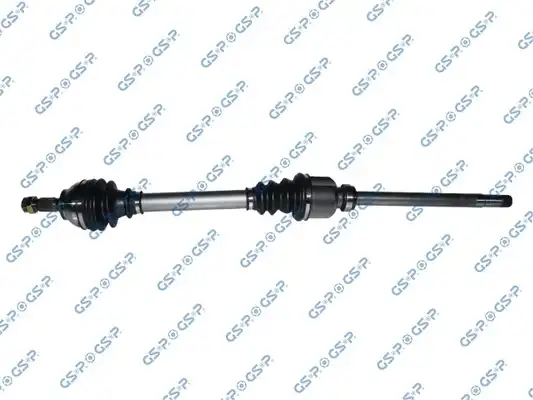 GSP 210325