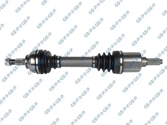 GSP 210381