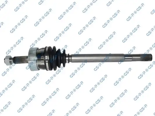 GSP 216003