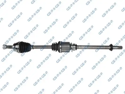 GSP 217019