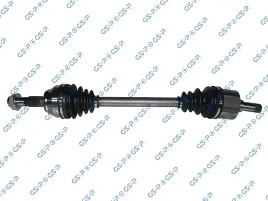 GSP 217053
