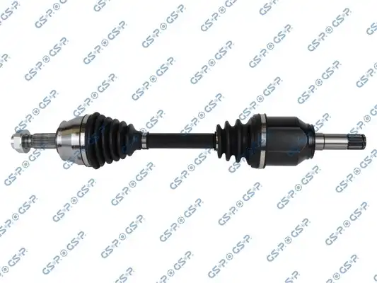 GSP 217062