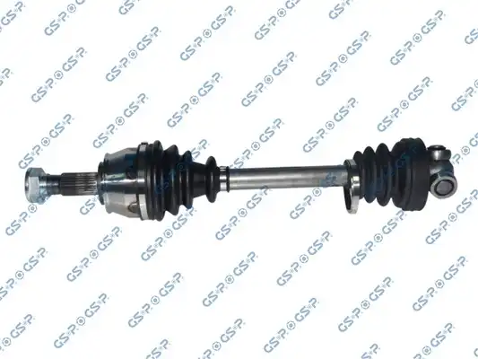 GSP 217066