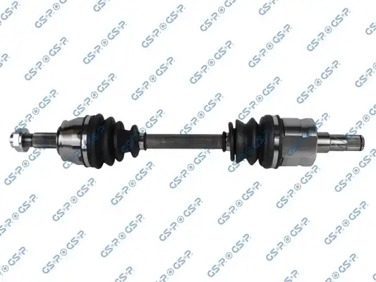 GSP 217070