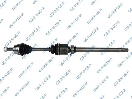 GSP 217077