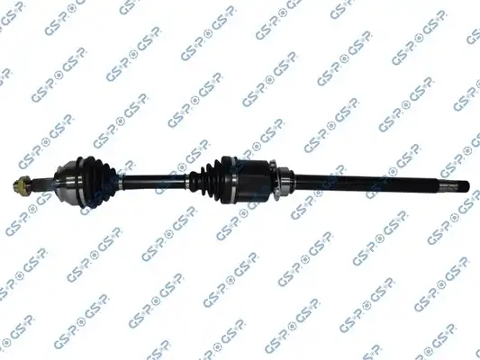 GSP 217081