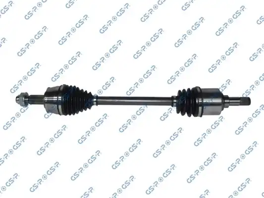 GSP 217099