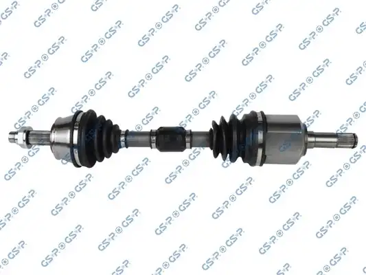 GSP 217107