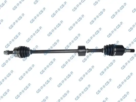 GSP 217111