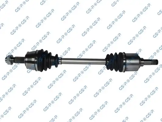 GSP 217119