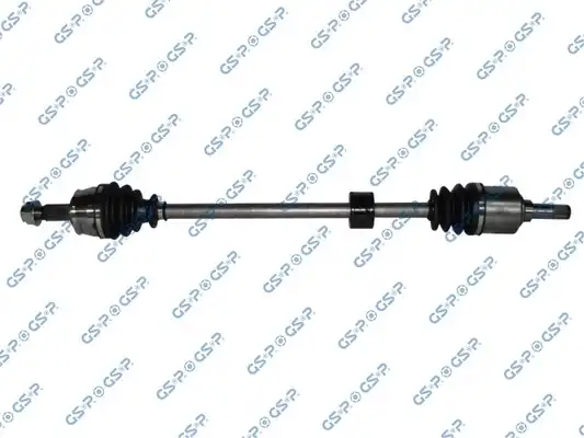 GSP 217120
