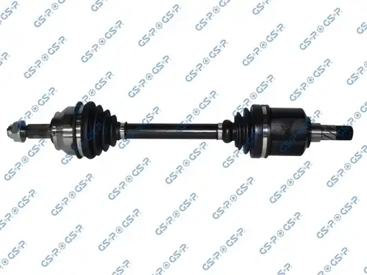 GSP 217180