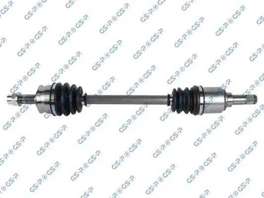 GSP 217181