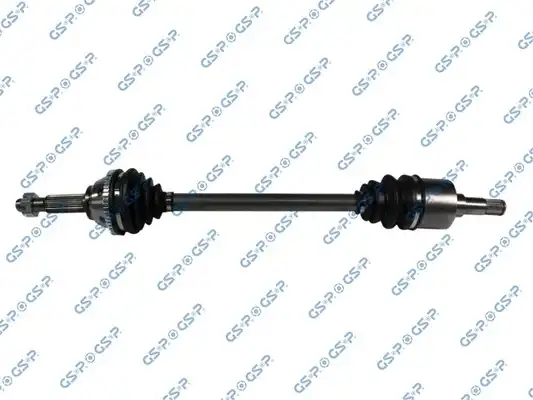 GSP 218036
