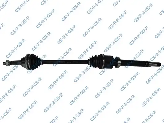 GSP 218265