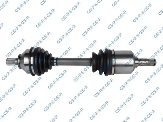 GSP 218290