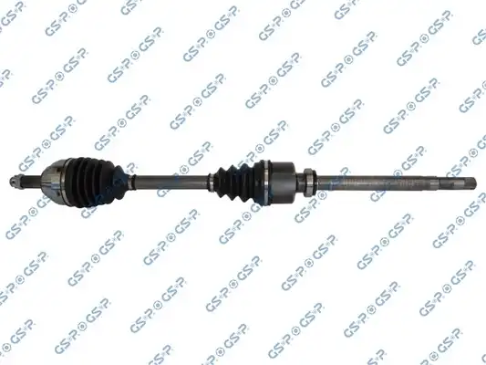 GSP 218291