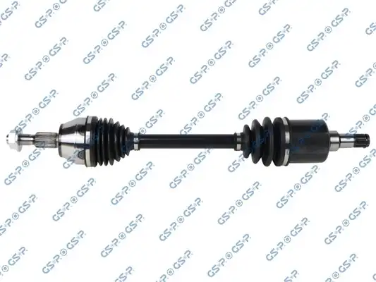 GSP 218295