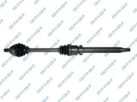 GSP 218337