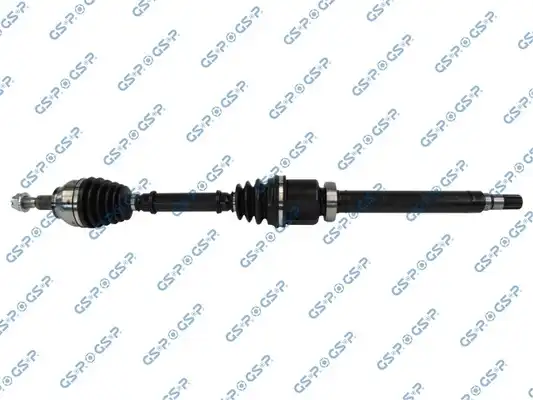 GSP 218343
