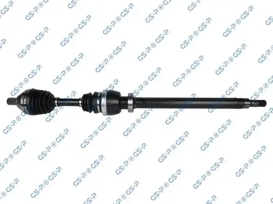 GSP 218348